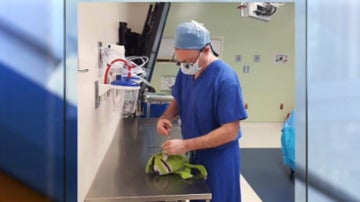 El doctor Groth operando al juguete de su paciente