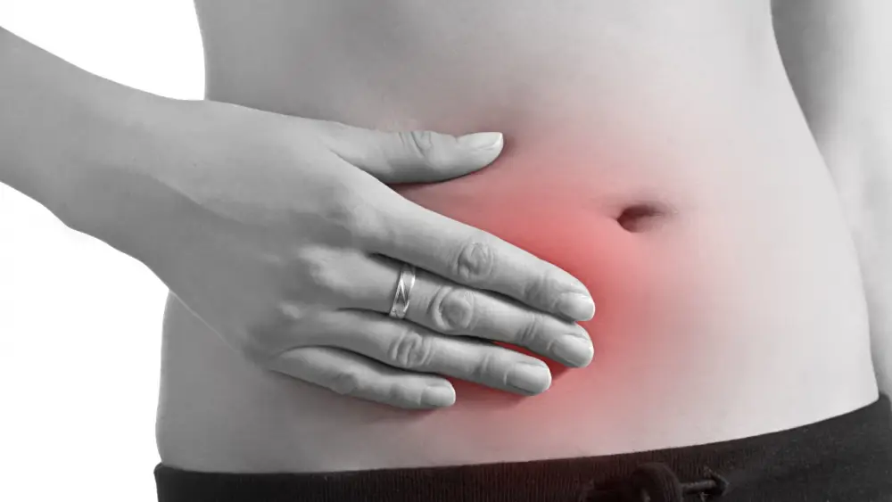 Barriga Barriga