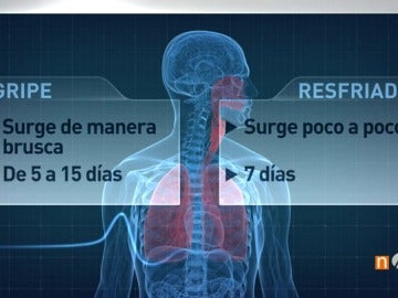 Frame 102.69 de: La gripe colapsa los hospitales españoles, una epidemia que afecta especialmente al norte peninsular