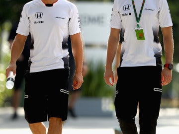 Alonso y Vandoorne, juntos en el GP de Malasia