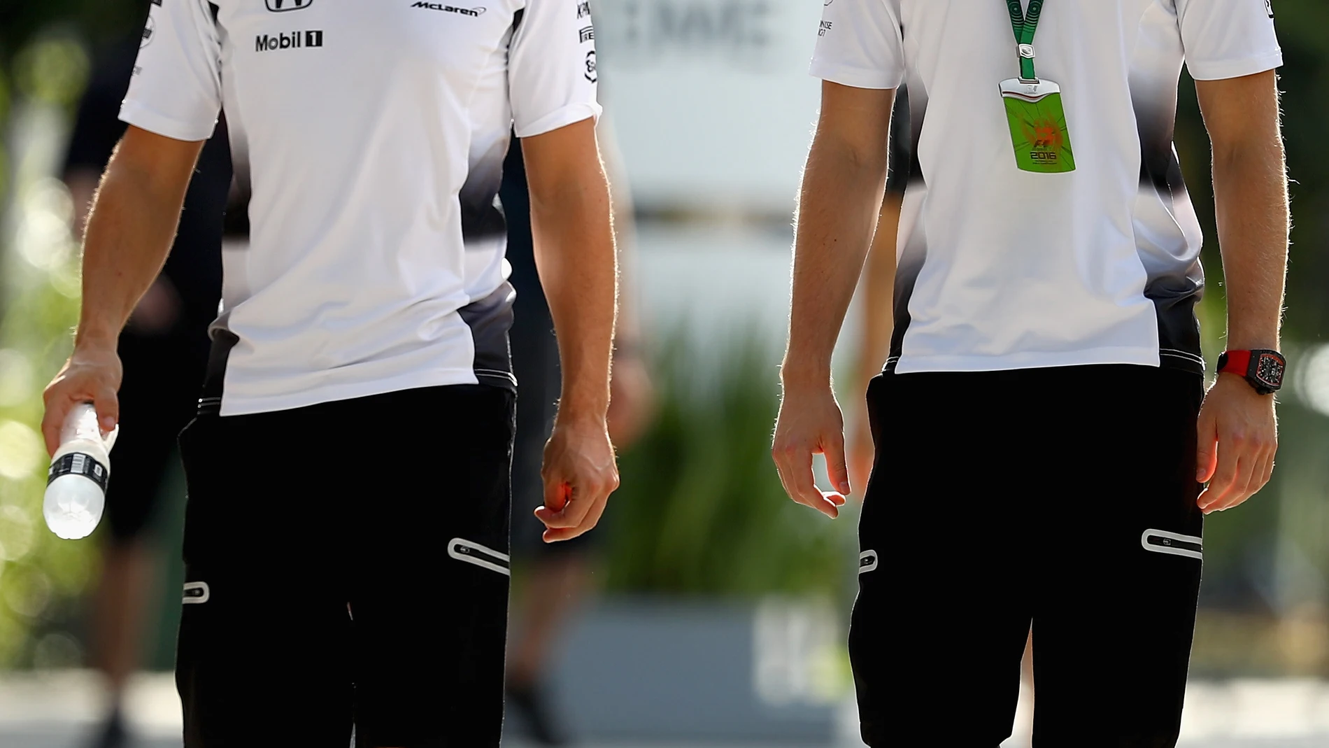 Alonso y Vandoorne, juntos en el GP de Malasia