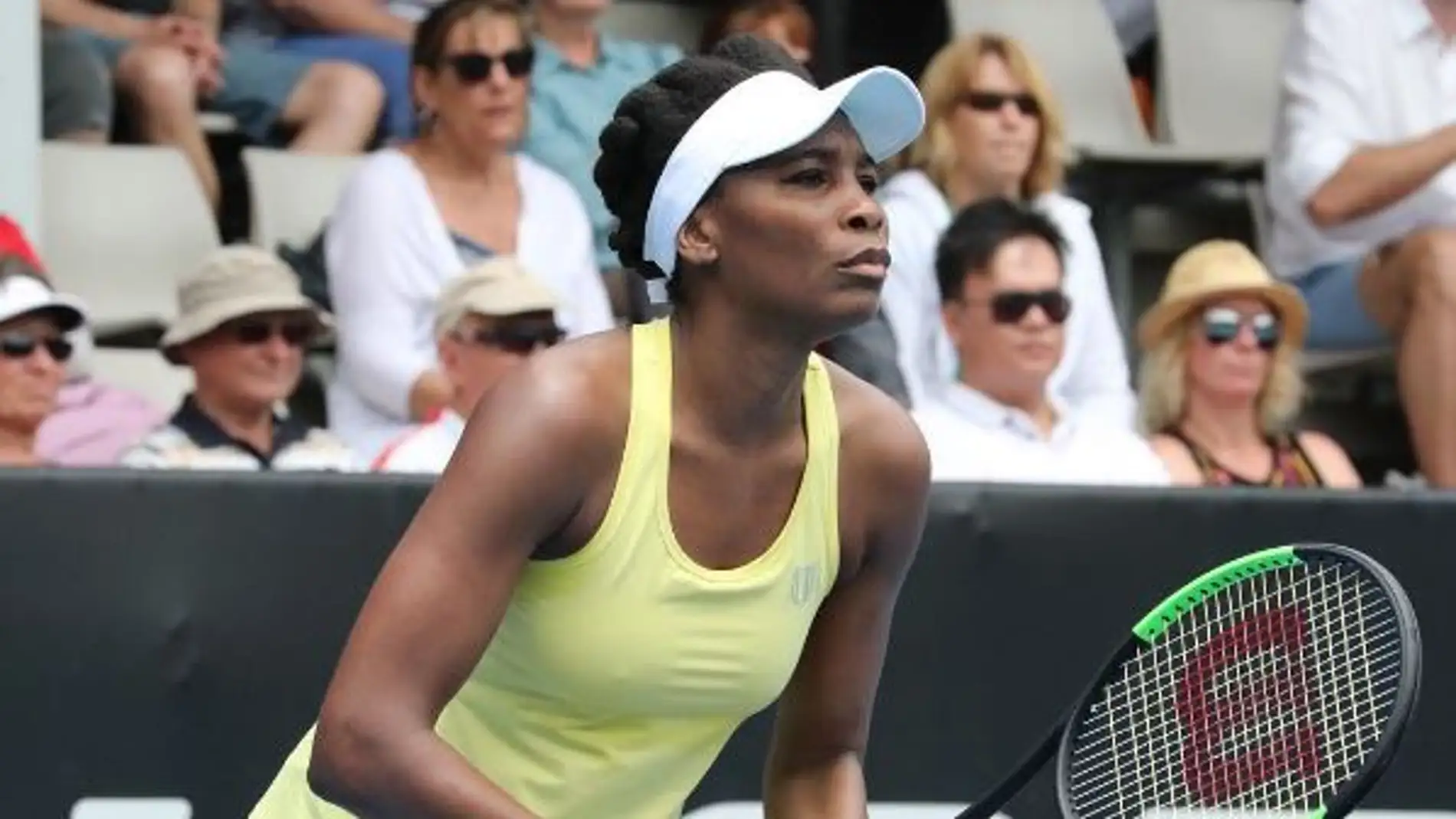 Venus Williams