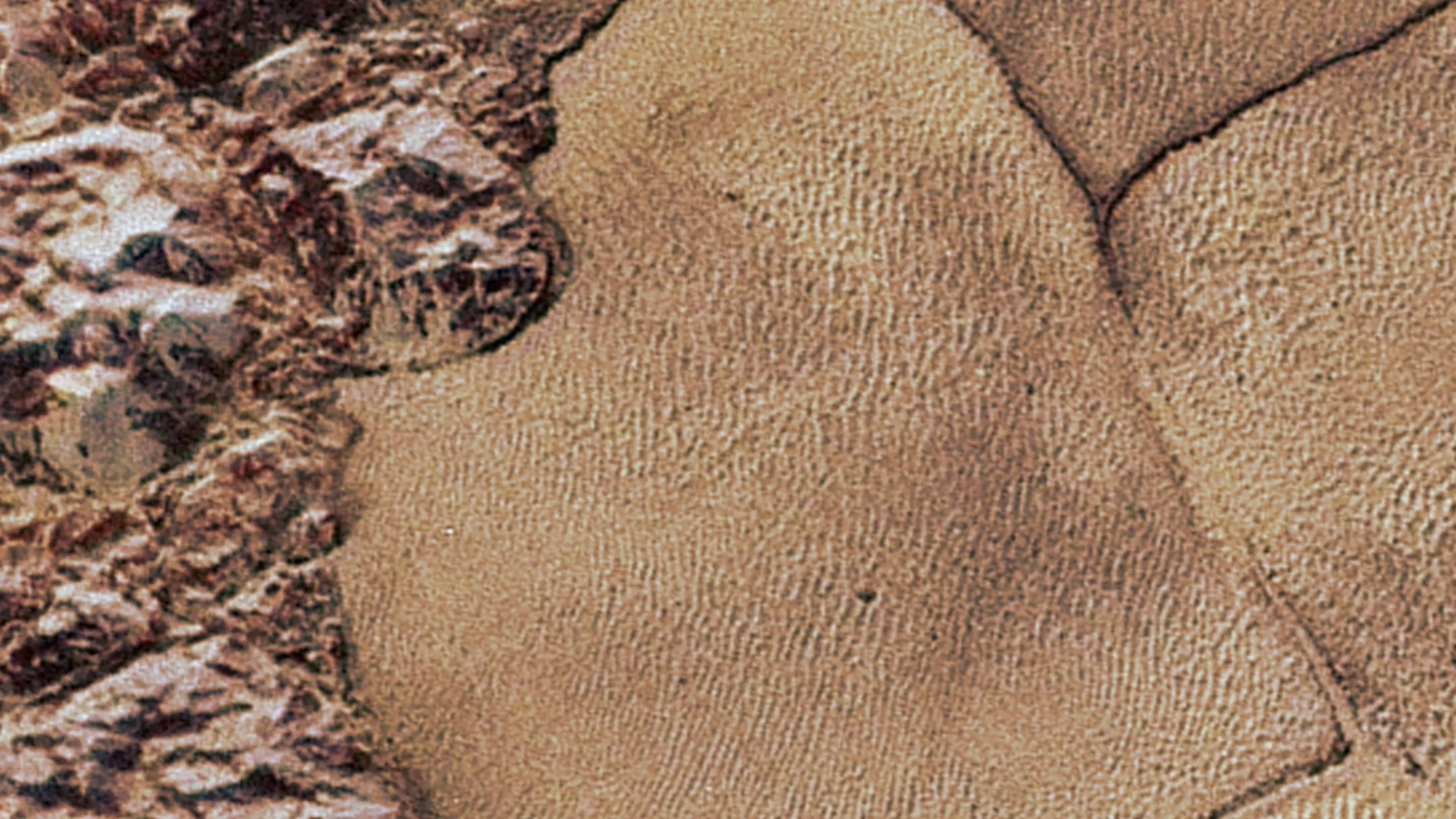 Así se ve Plutón Así se ve Plutón