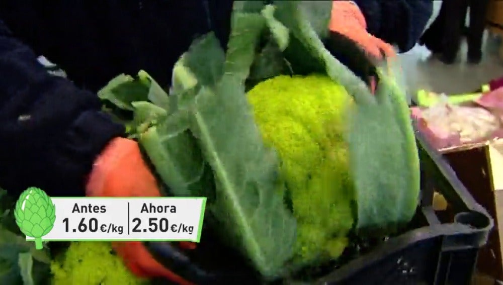 Frame 55.3251 de: La ola de frío ha duplicado el precio de verduras y hortalizas españolas en el mercado europeo