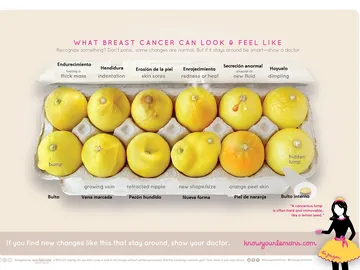 La importancia de estos limones La importancia de estos limones