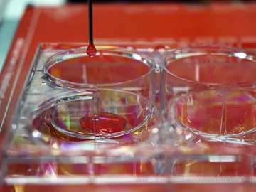 Bioimpresora 3D destinada a crear piel humana "totalmente funcional" Bioimpresora 3D destinada a crear piel humana "totalmente funcional"