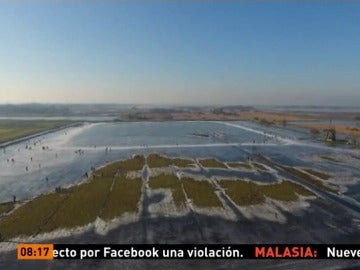 Lago helado de Holanda