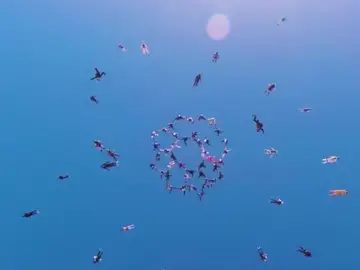 Salto en paracaídas Salto en paracaídas