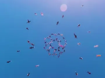 Salto en paracaídas Salto en paracaídas