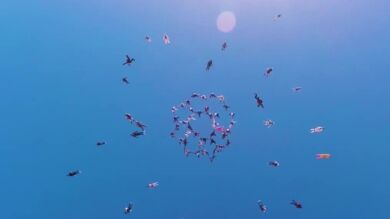 Un grupo de 65 mujeres logra un récord mundial de salto en paracaídas