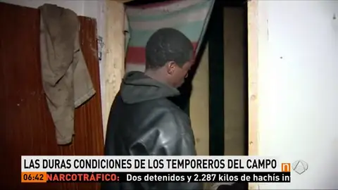 Frame 43.021111 de: TEMPOREROS Frame 43.021111 de: TEMPOREROS