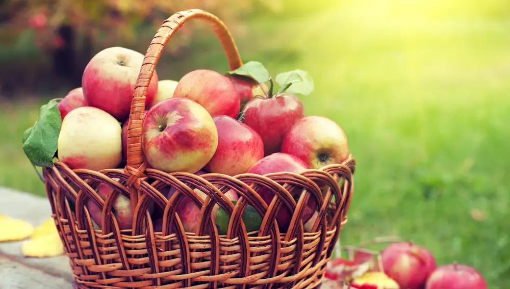 Frutas que adelgazan Frutas que adelgazan