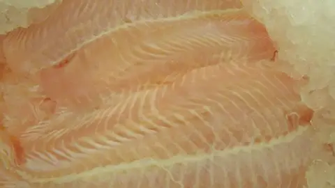 Imagen de archivo de varios filetes de panga Imagen de archivo de varios filetes de panga