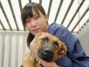 Chien Chih-cheng, junto a uno de los perros del refugio Chien Chih-cheng, junto a uno de los perros del refugio