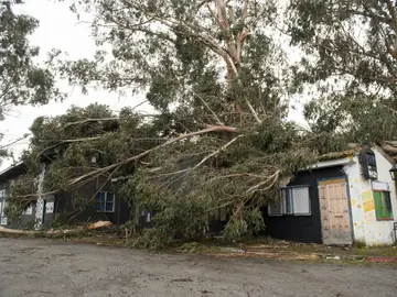 Un árbol cae sobre una capilla en Galicia a causa del temporal Un árbol cae sobre una capilla en Galicia a causa del temporal