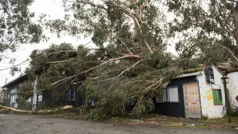 Un árbol cae sobre una capilla en Galicia a causa del temporal Un árbol cae sobre una capilla en Galicia a causa del temporal