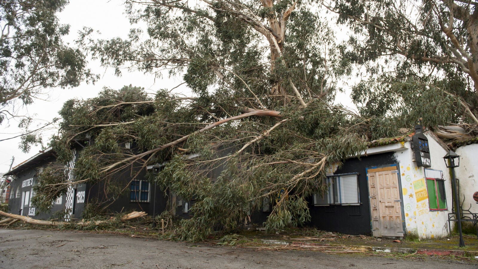 Nueva ciclogénesis explosiva: vientos huracanados y precipitaciones copiosas seguirán todo el fin de semana aunque las olas remitirán