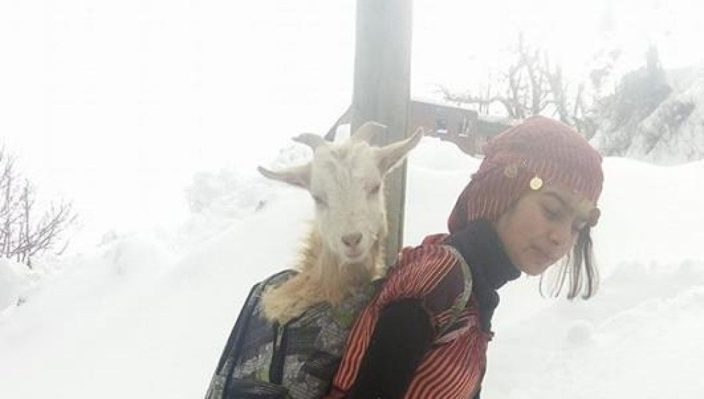 La joven y su perro con las cabras en las mochilsa