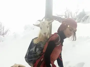 La joven y su perro con las cabras en las mochilsa La joven y su perro con las cabras en las mochilsa