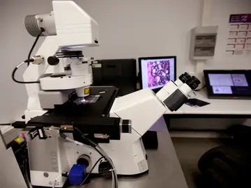 Microscopio láser que da información concreta sobre células tumorales"del Servicio de Patología Molecular Comparada de Salamanca Microscopio láser que da información concreta sobre células tumorales"del Servicio de Patología Molecular Comparada de Salamanca