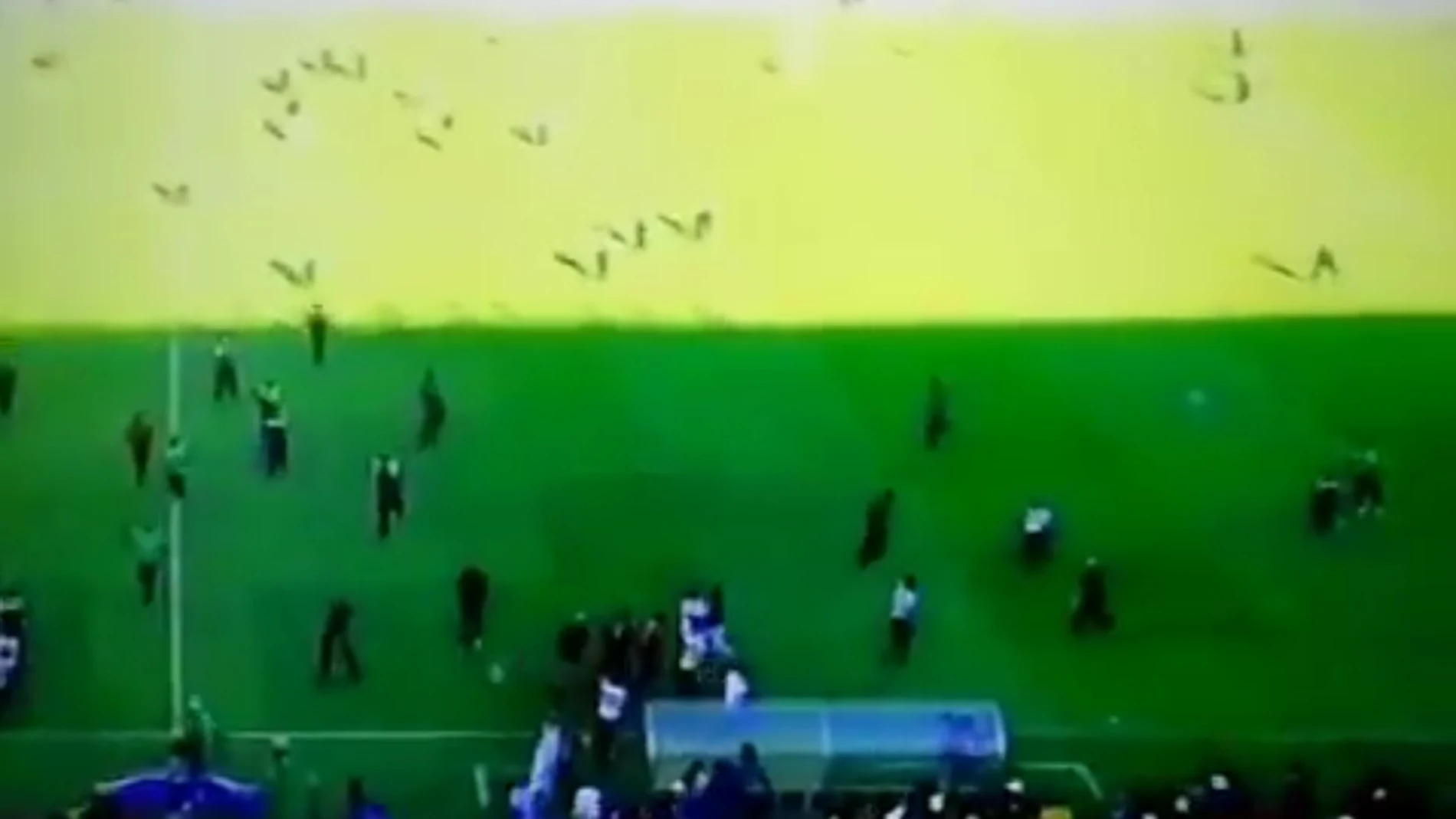 Aficionados invaden el campo al final de un partido Aficionados invaden el campo al final de un partido