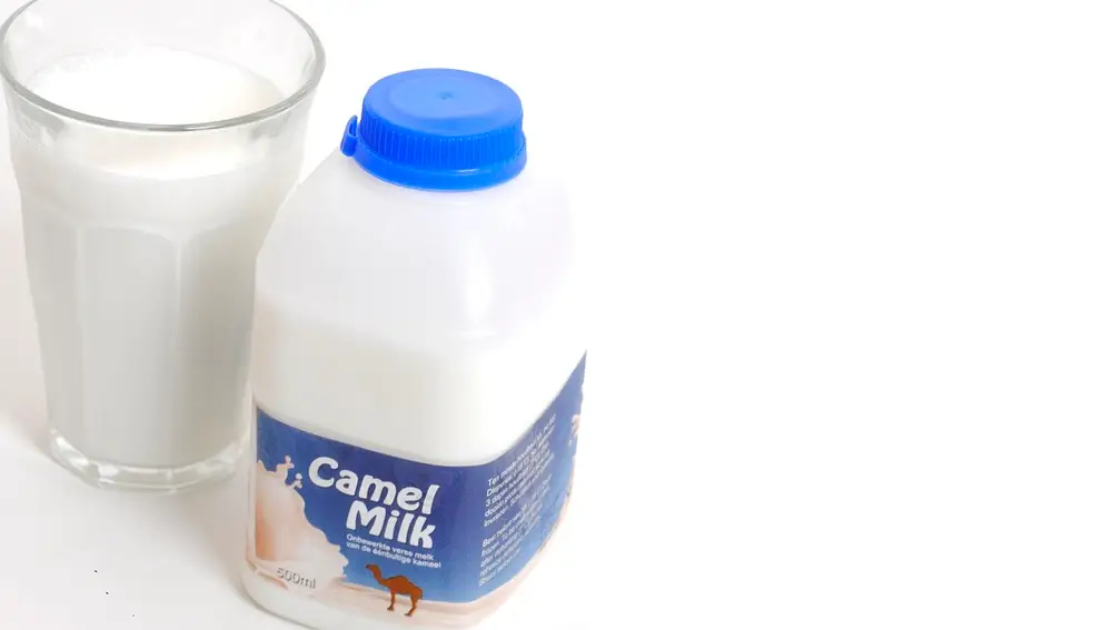 Leche de camella