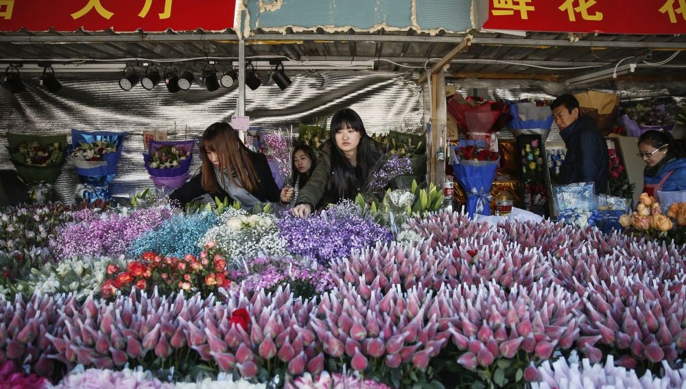 Flores para San Valentín en el Parque del Pueblo en Shanghái