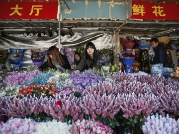 Flores para San Valentín en el Parque del Pueblo en Shanghái
