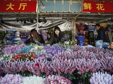 Flores para San Valentín en el Parque del Pueblo en Shanghái Flores para San Valentín en el Parque del Pueblo en Shanghái