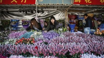 Flores para San Valentín en el Parque del Pueblo en Shanghái
