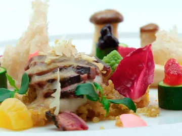 El bosque y la tórtola El bosque y la tórtola