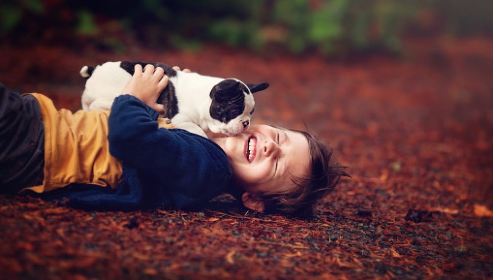 Un niño con su perro