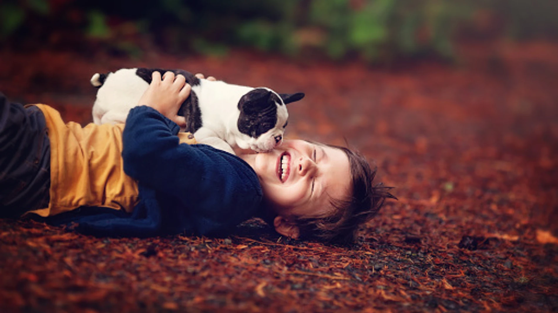 Un niño con su perro Un niño con su perro