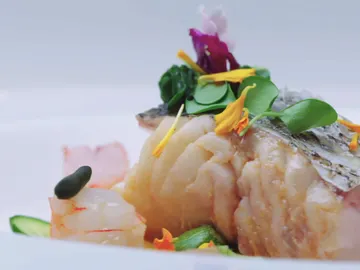 Taco de merluza de pincho con crema de papaya, gamba roja, moluscos, ensalada de apio e hinojo y alga codium Taco de merluza de pincho con crema de papaya, gamba roja, moluscos, ensalada de apio e hinojo y alga codium