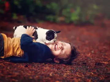 Imagen de archivo de un niño con su perro Imagen de archivo de un niño con su perro