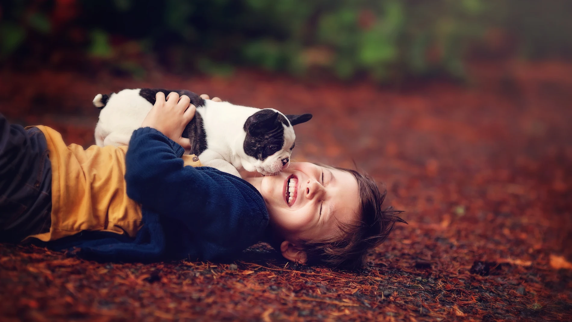 Imagen de archivo de un niño con su perro Imagen de archivo de un niño con su perro