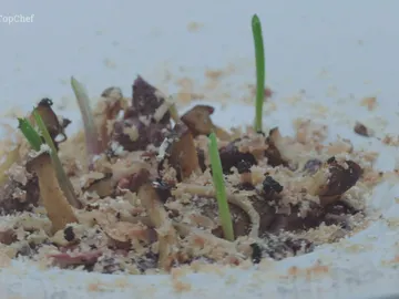 Risotto de venere y tórtola, foie, setas y trufa de verano Risotto de venere y tórtola, foie, setas y trufa de verano