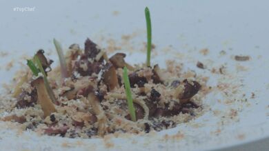 Risotto de venere y tórtola, foie, setas y trufa de verano