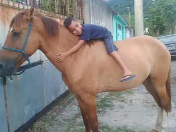 Kaio y Flecha Kaio y Flecha
