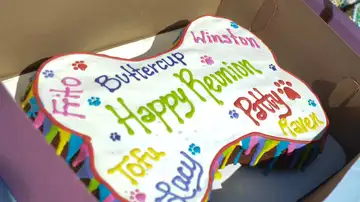 La tarta para Frito y sus hermanos La tarta para Frito y sus hermanos