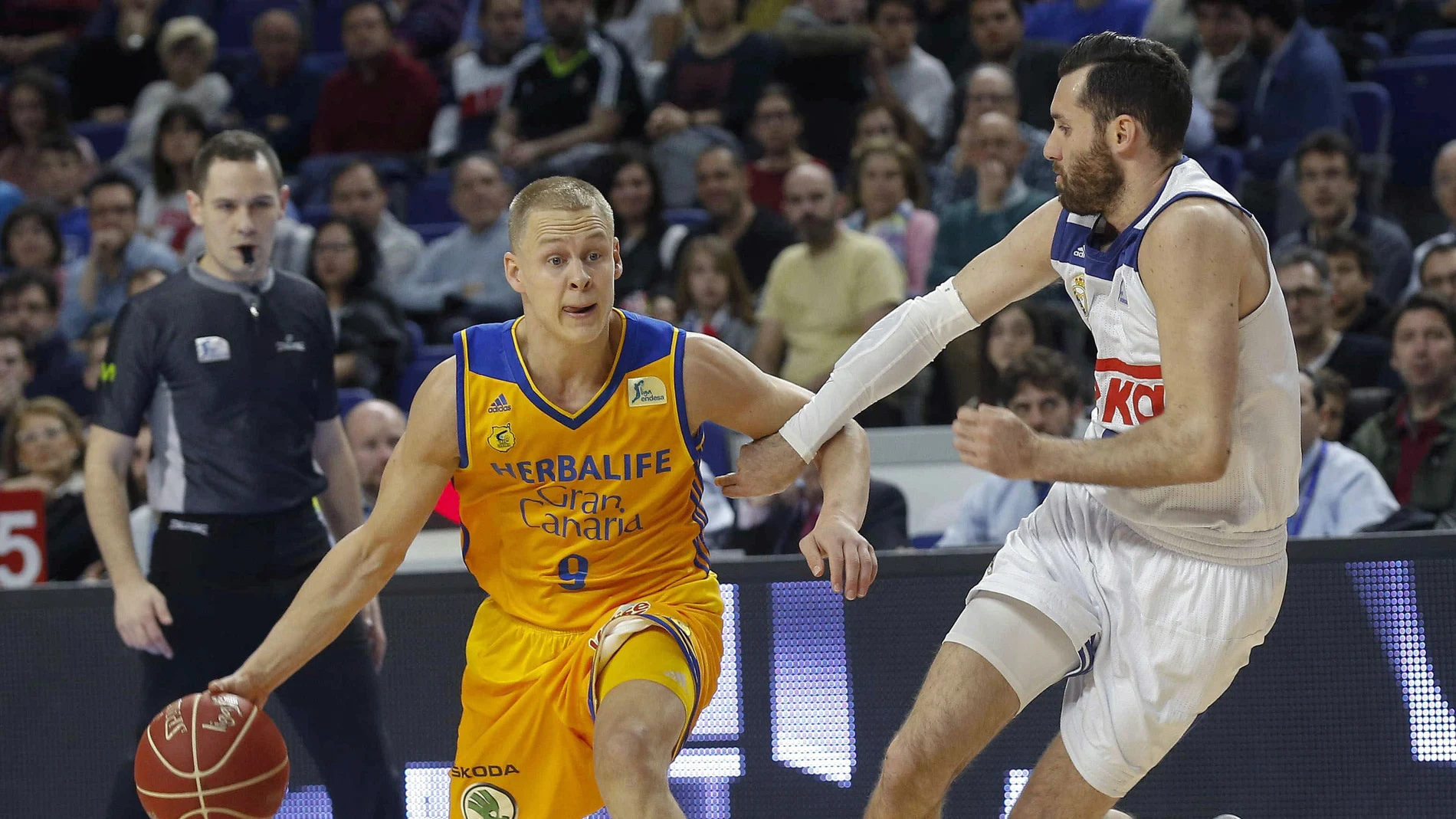 Herbalife Gran Canaria - Real Madrid Herbalife Gran Canaria - Real Madrid