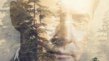 Póstar oficial de 'Twin Peaks'