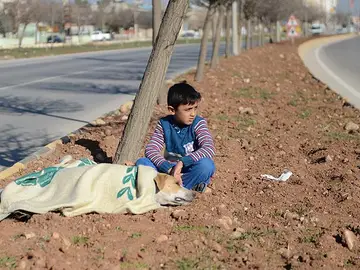 Hüseyin, el refugiado sirio que socorrió a un perro atropellado Hüseyin, el refugiado sirio que socorrió a un perro atropellado