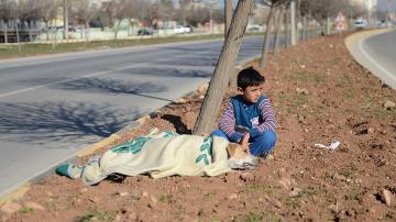 Hüseyin, el refugiado sirio que socorrió a un perro atropellado