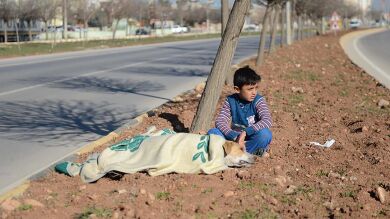 Un niño refugiado socorre a un perro atropellado en Turquía