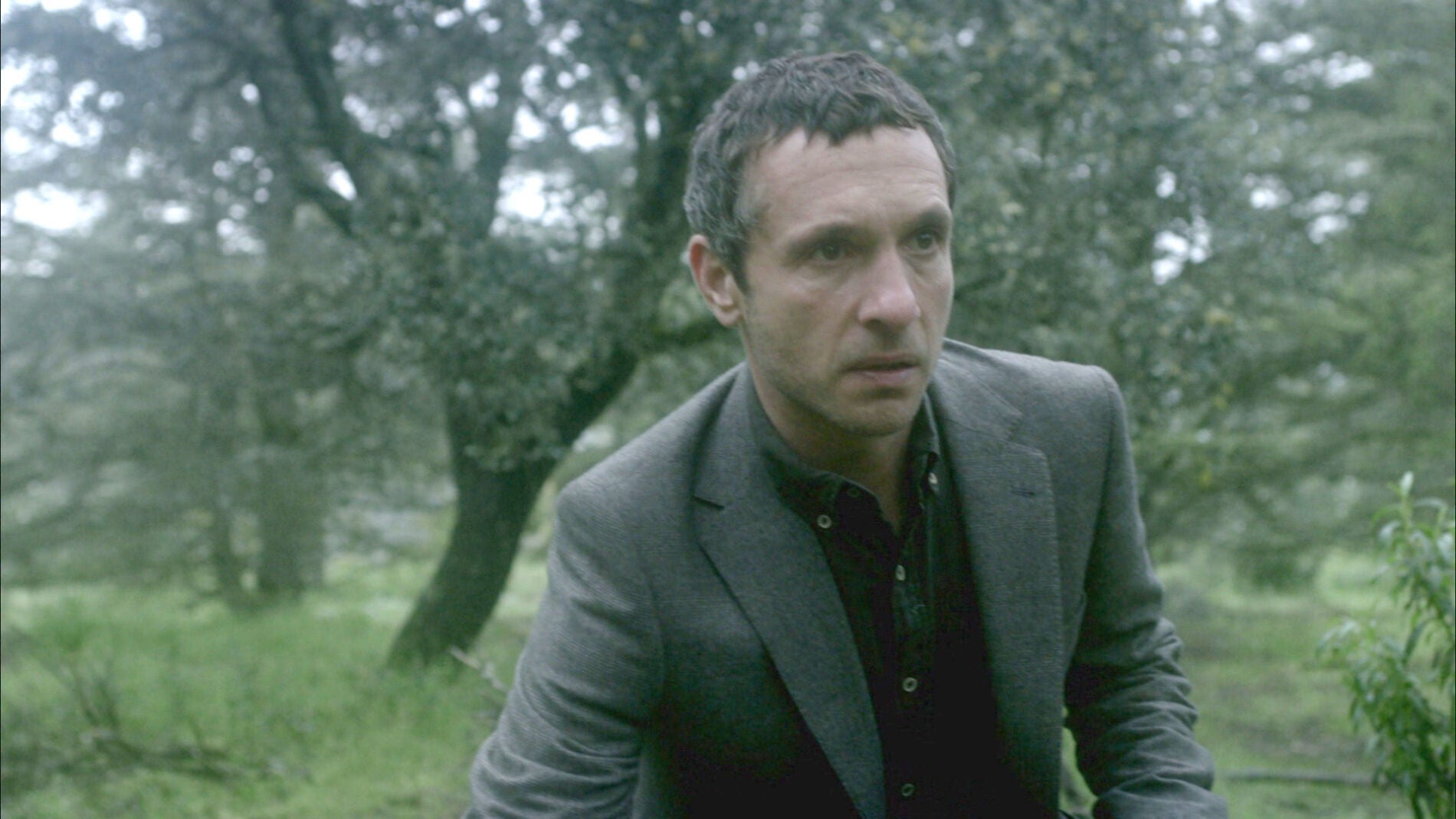 &Aacute;lex, a punto de poner fin al tr&aacute;fico ilegal de &oacute;rganos