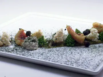 Virrey del Atlántico con aéreos de setas y puré de lenteja rosa Virrey del Atlántico con aéreos de setas y puré de lenteja rosa