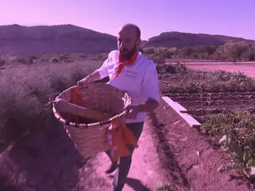 La huerta de Navarra será la nueva despensa de los concursantes de ‘Top Chef’ La huerta de Navarra será la nueva despensa de los concursantes de ‘Top Chef’