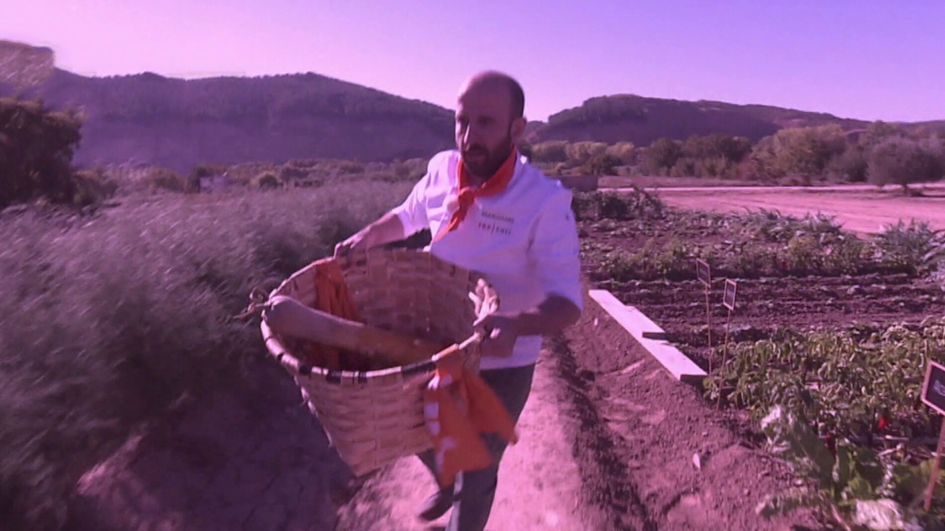 La huerta de Navarra ser&aacute; la nueva despensa de los concursantes de &lsquo;Top Chef&rsquo; 