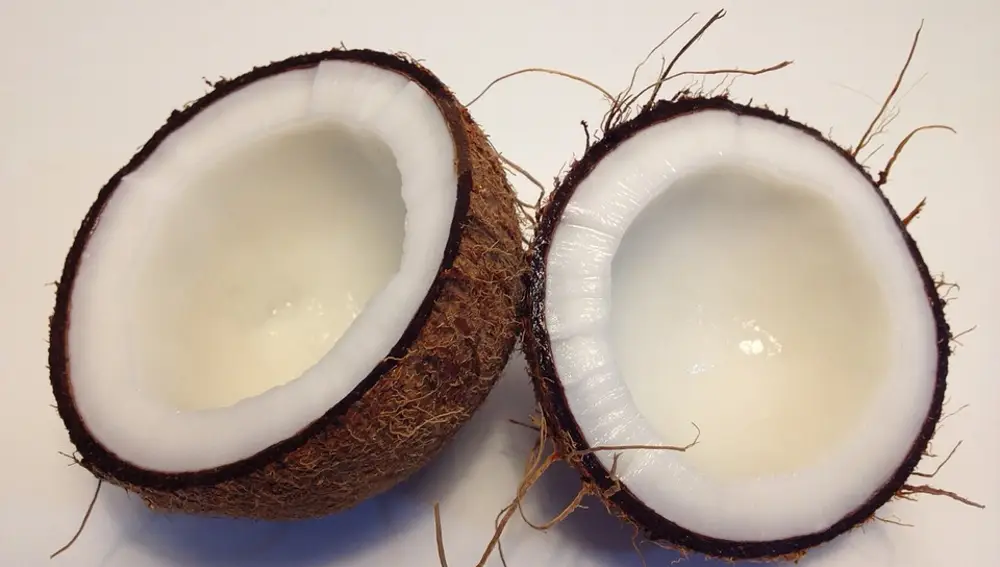 El agua de coco aporta muchos beneficios al organismo